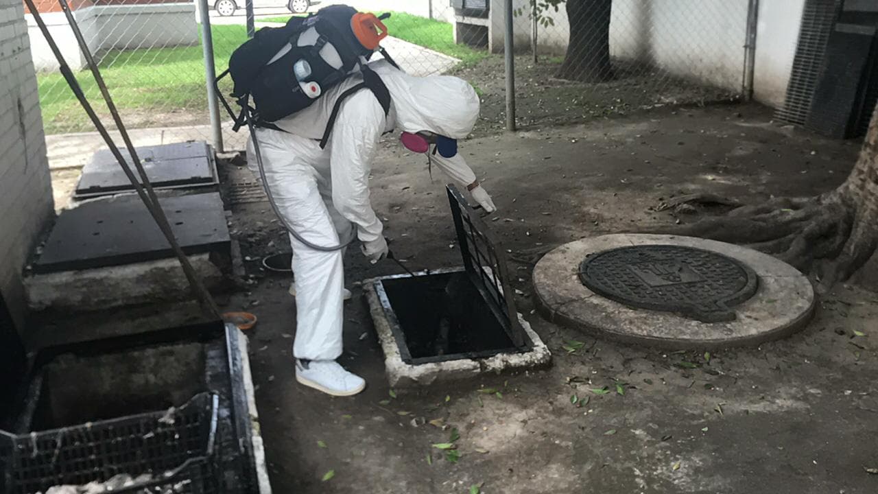 Fumigación
